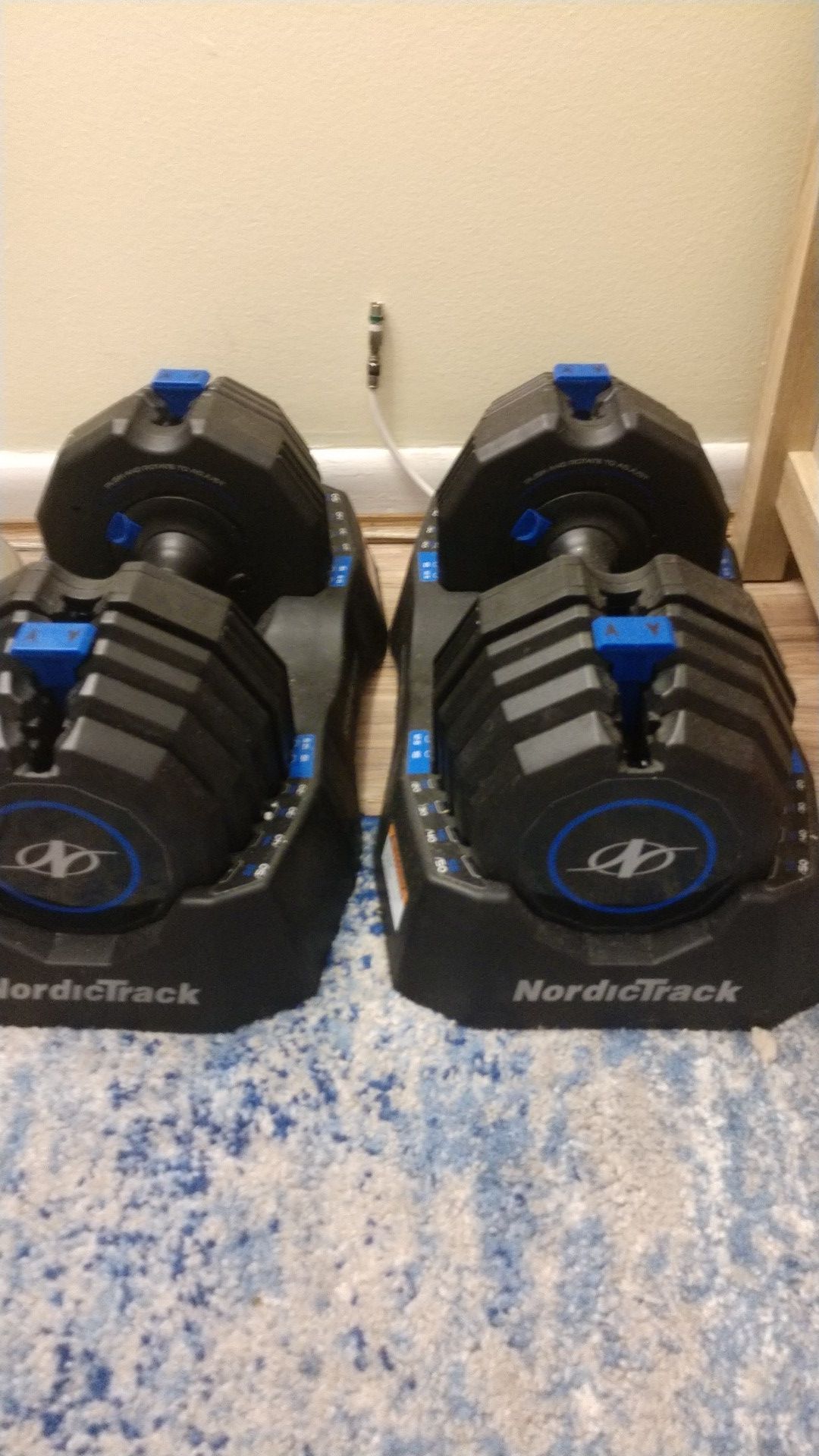 Nordic track weights