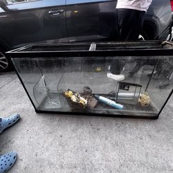 6ft Aquarium W/ Accessories 