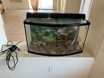Fish tank