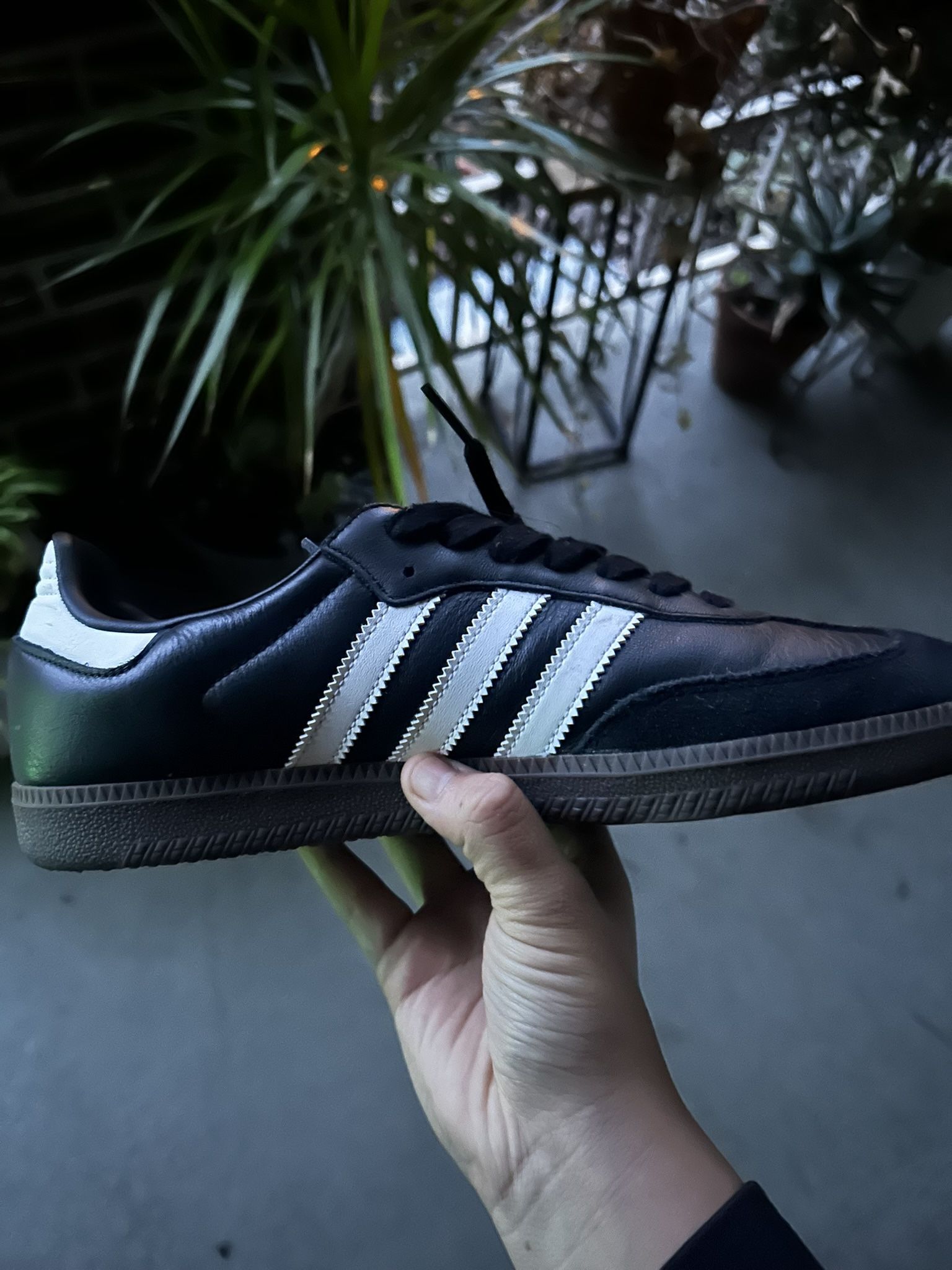 Adidas Sambas 