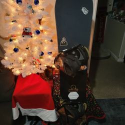 Burton Bullet Men's 162cm Snowboard