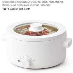 Electric Hot Pot 2L