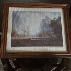 Looking Up The Yosemite