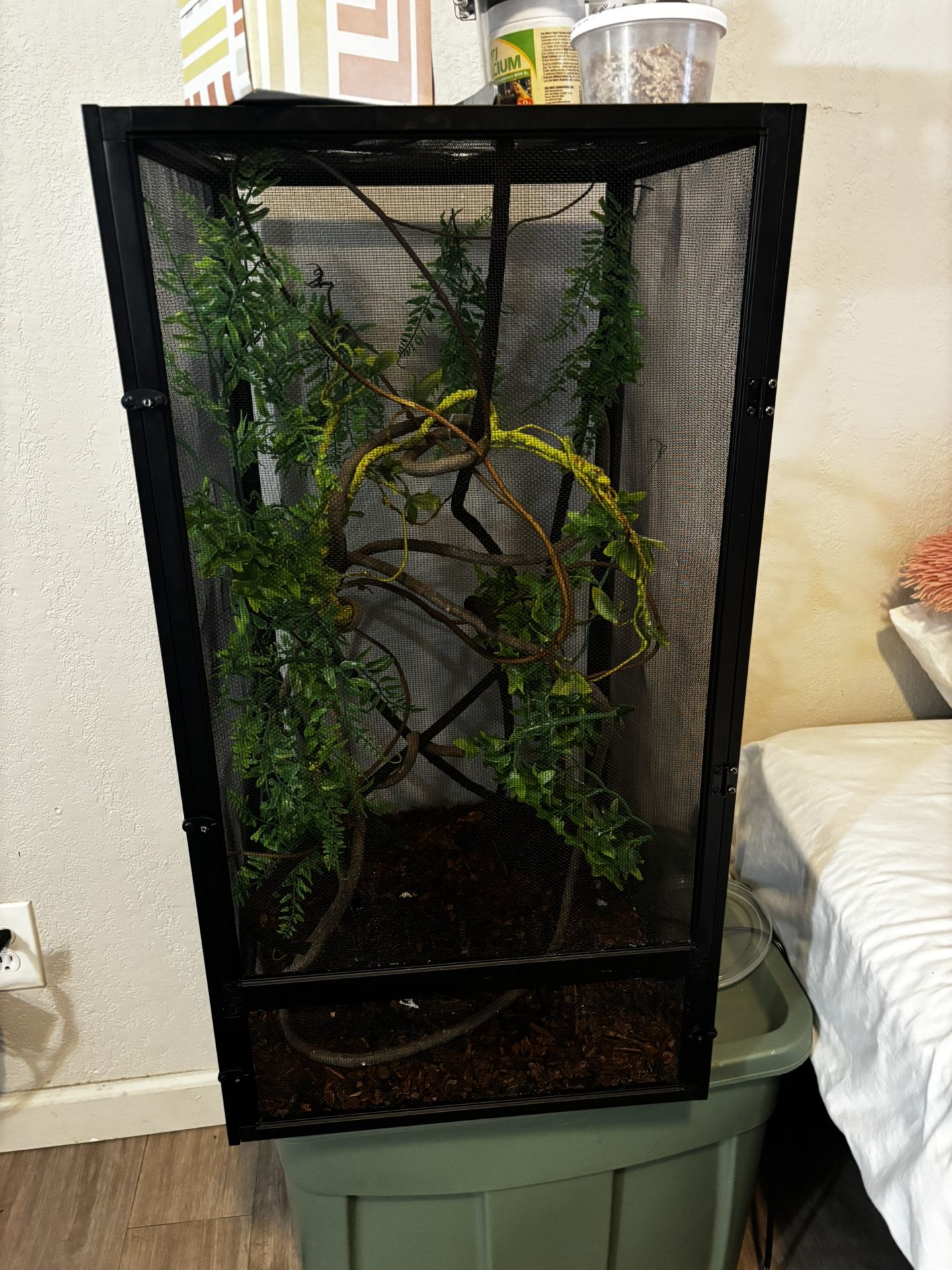 reptile cage & more
