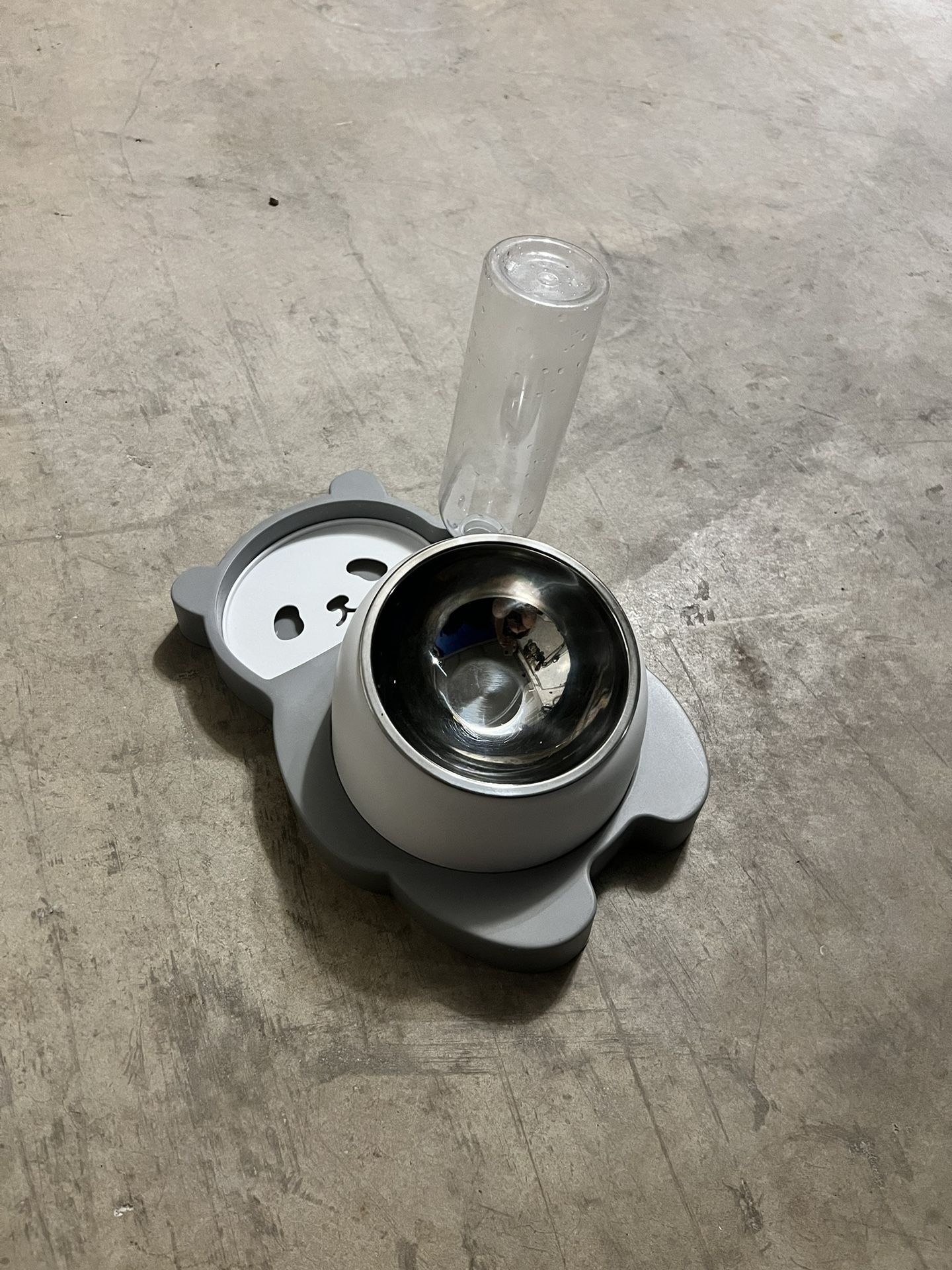 Cat Food And Water Dish