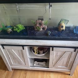 55 Gallon fish Tank and Stand ($700 Retail Value)