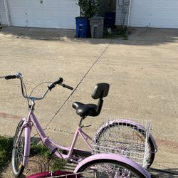 Tricycle Bike 