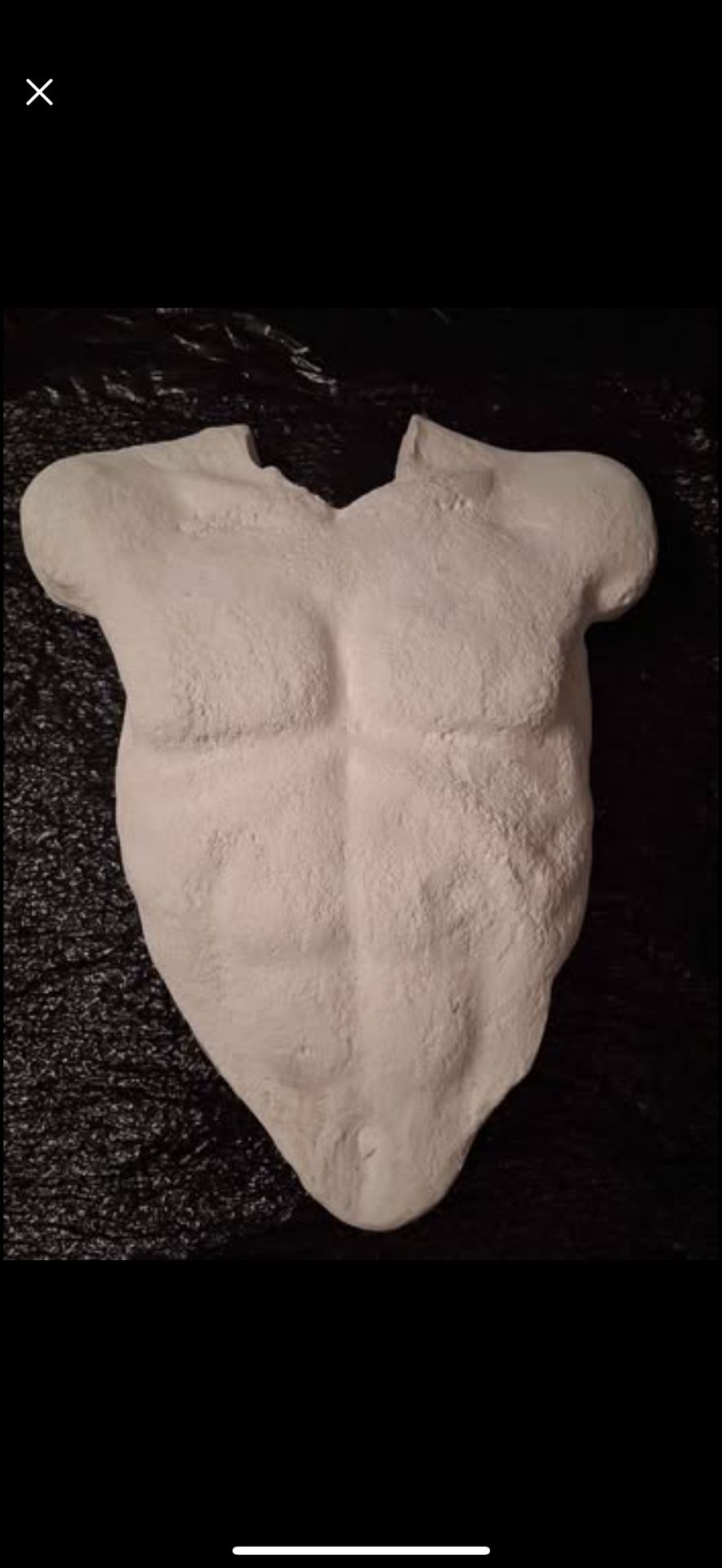 Miwa Ubana Art - Male Torso - Los Angeles Artist $50
