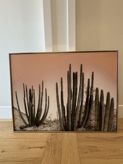 Canvas - Cactus
