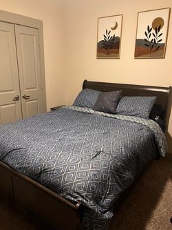 Bed Frame + Mattress + Box Spring