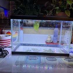 5   GALLON TANK COMPLETE SETUP  ALL NEW…SELLING OVER 50% OFF…SAVE…$$$…