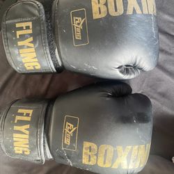 Boxing Gloves