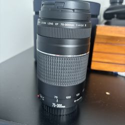 Canon 75-300mm