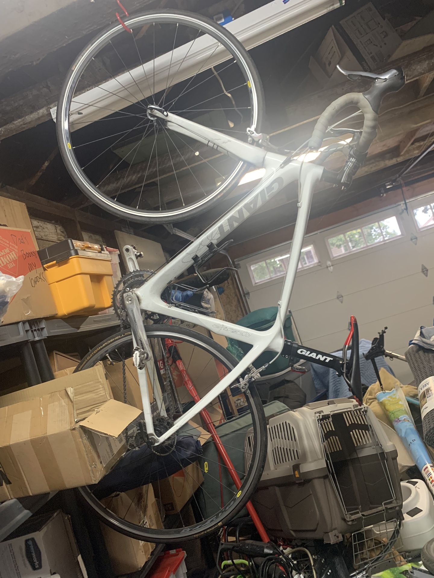 huge bikes