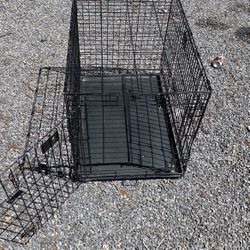 Dog Cage 