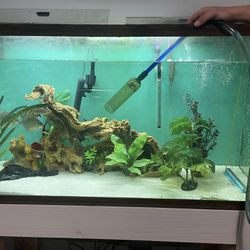 90 Gallon Fish Tank 