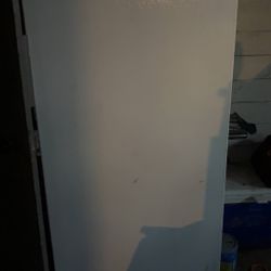 Stand Up Freezer 