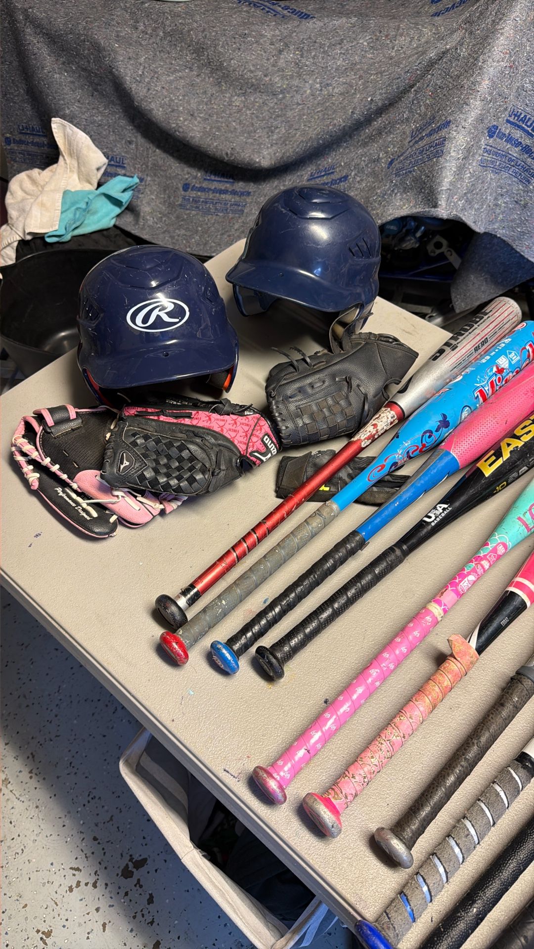 Baseball And Softball Equipment Bats And Gloves