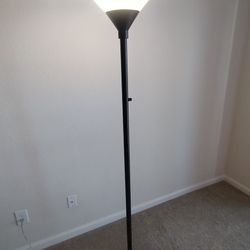 Netti 73'' Black Floor Lamp