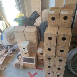 bird nest available 