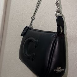 Coach Bag Used 