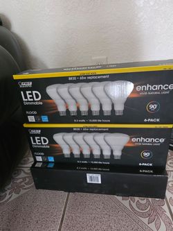 FEIT BR30 65W REPLACEMENT