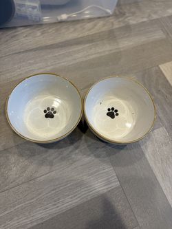Dog bowls