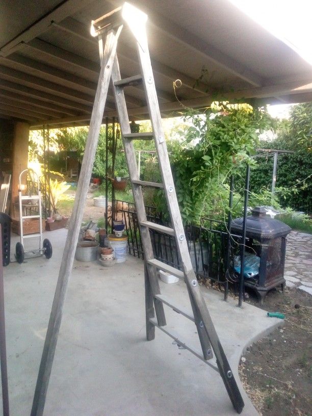 Vintage Picker Ladder