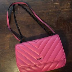 DKNY Purse