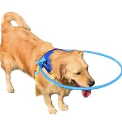 NEW Dog anti-collision collar XXS