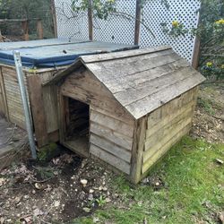 Dog House