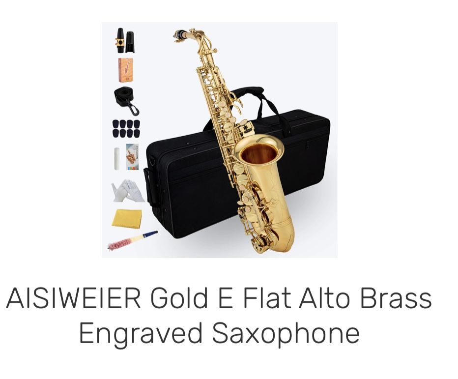 Gold E flat Alto Bass Saxaphone (new)