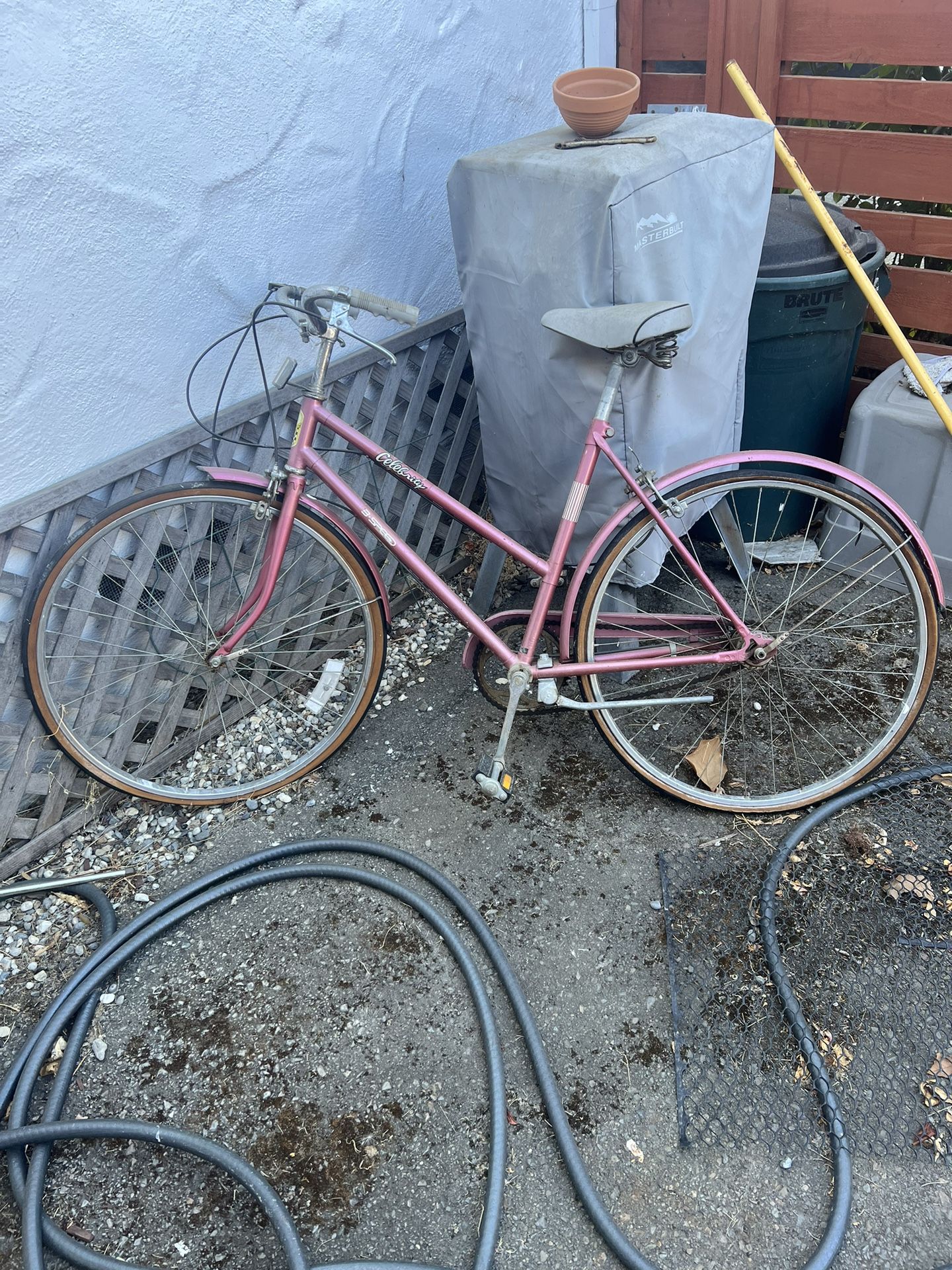 Women’s Bike From 1980s