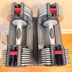 Weider adjustable dumbbells (10–50 lbs) with stand