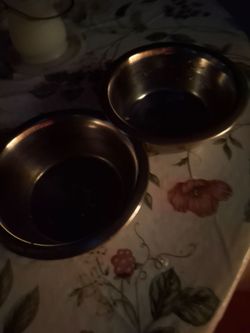 Pet feeding plates