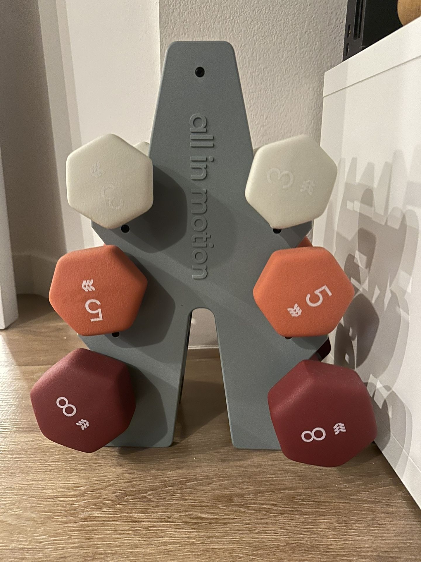 All In Motion Dumbbells with Rack