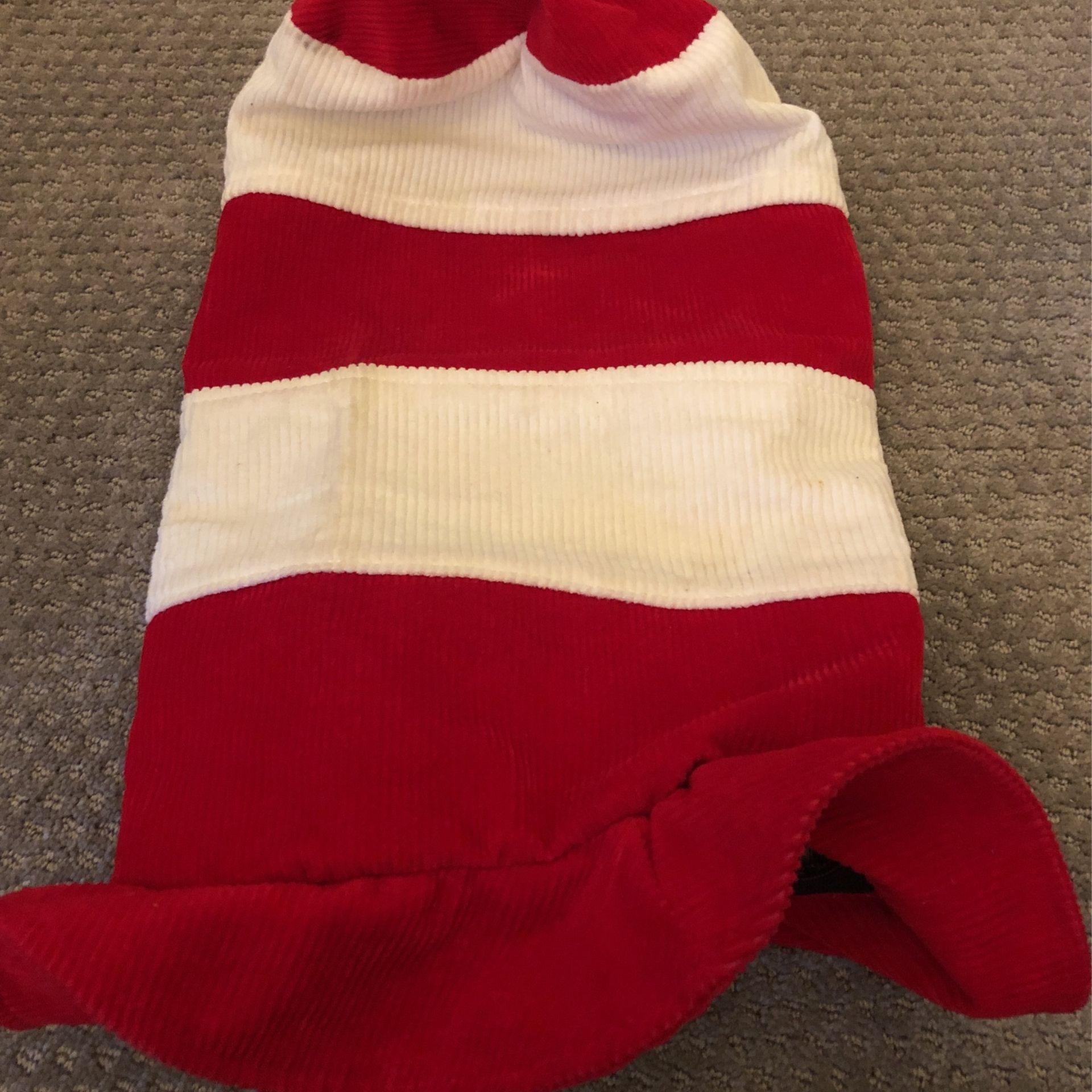 Tall Dr Seuss Custome Made Halloween Costume Hat