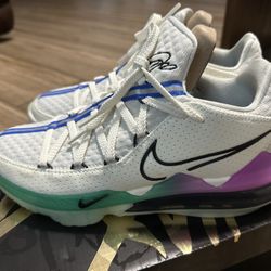 Lebron XVII Low Glow In The Darck