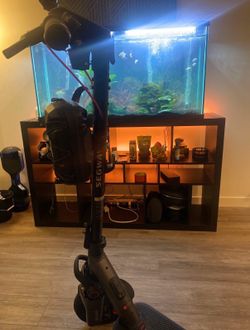 Segway Electric Scooter