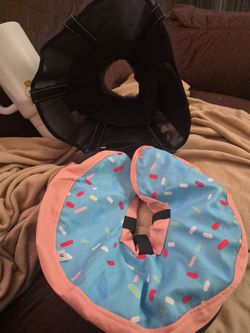 Dog Cone