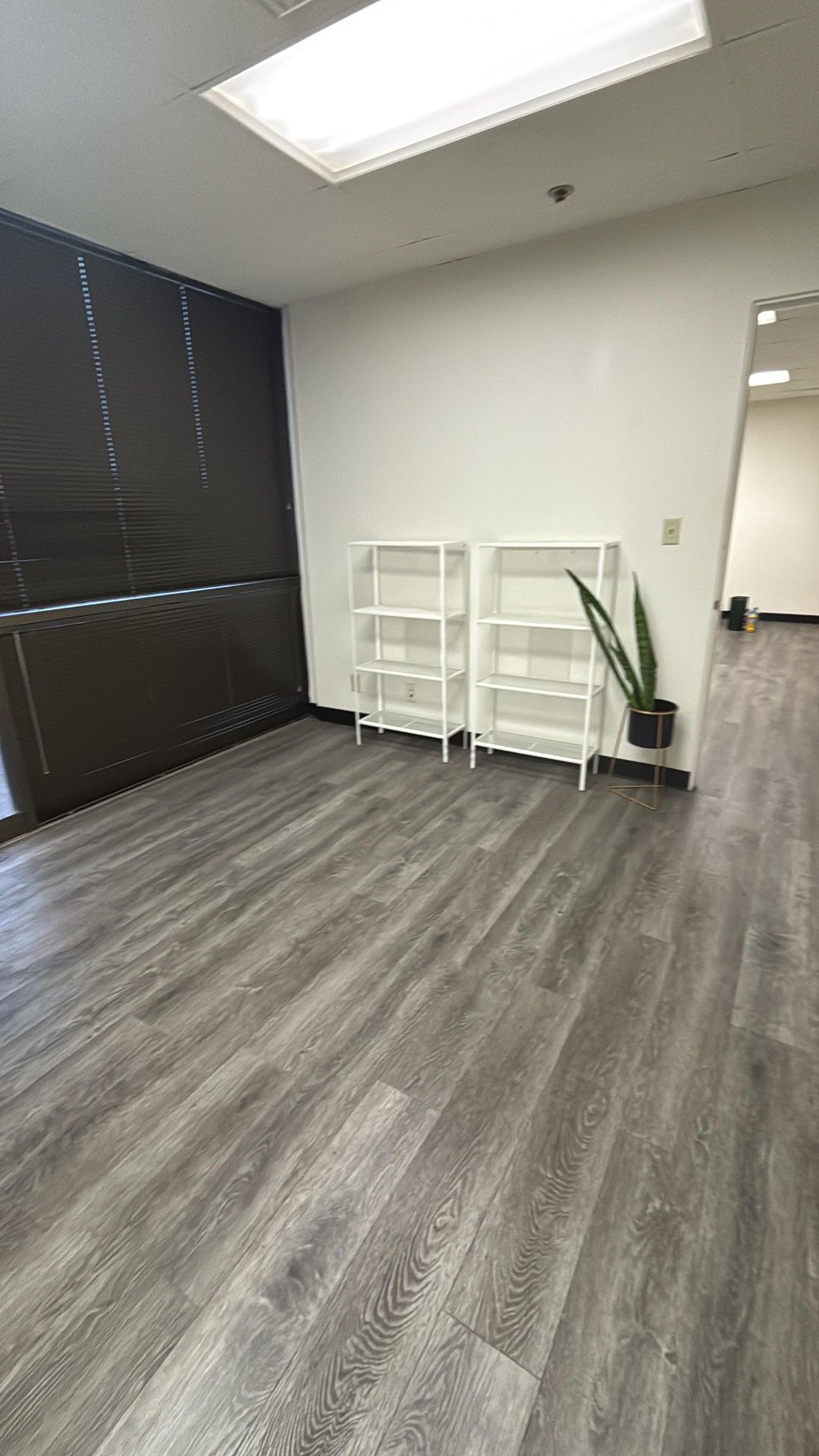 Shelves / Book Shelves 