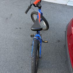 20 Bicycle
