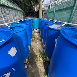 55 Gallon Barrels Fish Ready 