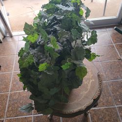 Plant 5 Dlls
