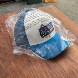 Patagonia Trucker hat 