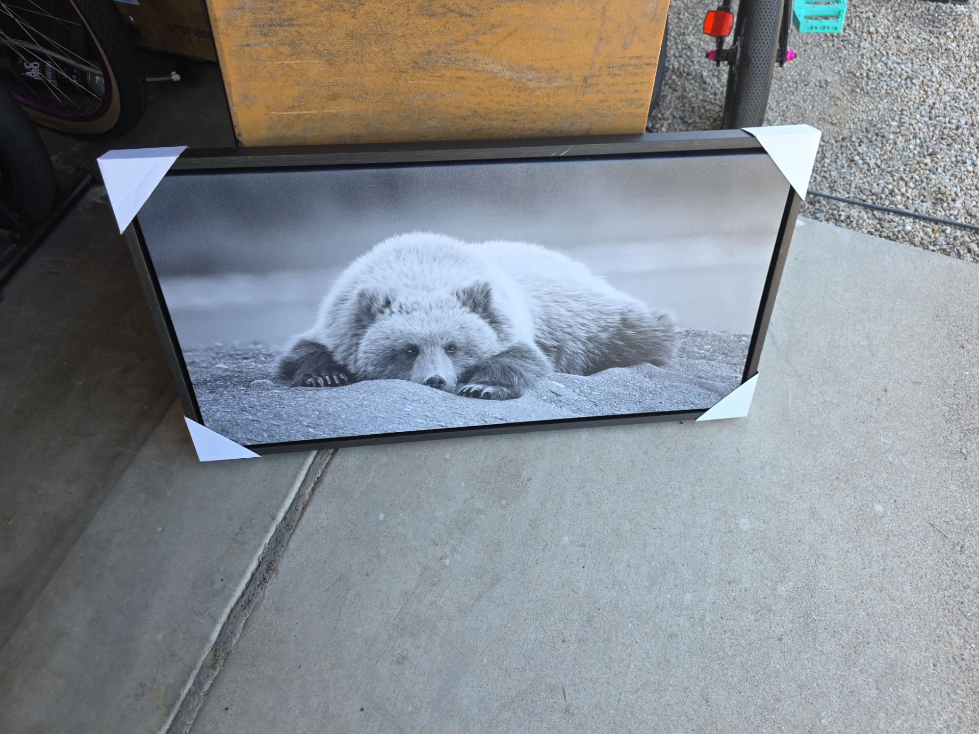Framed bear art