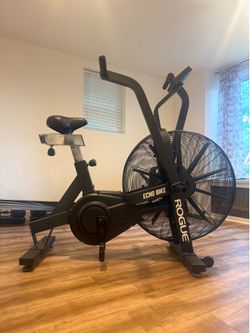 Rogue Echo Bike - Like New!