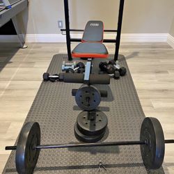 Exercise Bench With Wight 