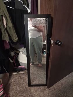 Body mirror with storage