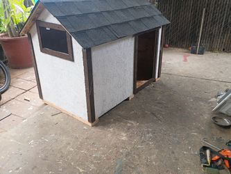 X large dog house